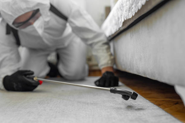 Professional Pest Control technician working in East Los Angeles, CA