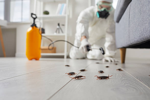 Trusted Mosquito Control service in East Los Angeles, CA - Nex Pest Control